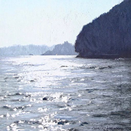 Landscapes - Caroline Atkinson