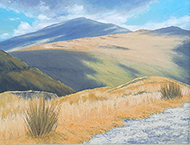 Landscapes - Caroline Atkinson